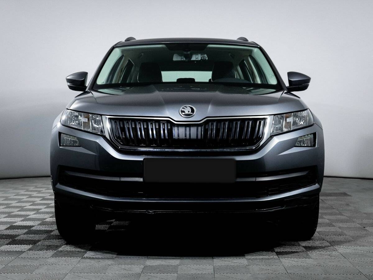 Skoda Kodiaq I, 2019 - фото №2