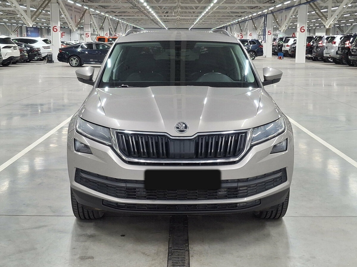 Skoda Kodiaq I, 2020 - фото №2